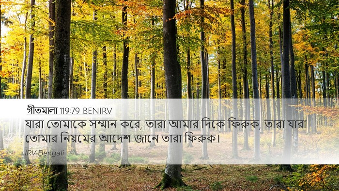 গীতমালা 119:79 BENIRV Bible Verse Image