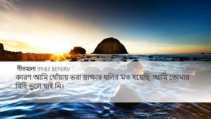 গীতমালা 119:83 BENIRV Bible Verse Image