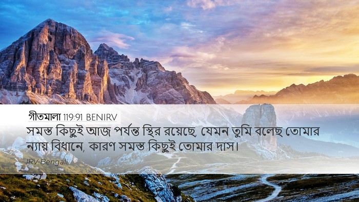 গীতমালা 119:91 BENIRV Bible Verse Image