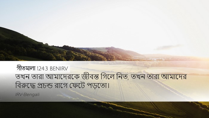 গীতমালা 124:3 BENIRV Desktop Wallpaper - তখন তারা আমাদেরকে - Desktop Bible Verse Wallpaper