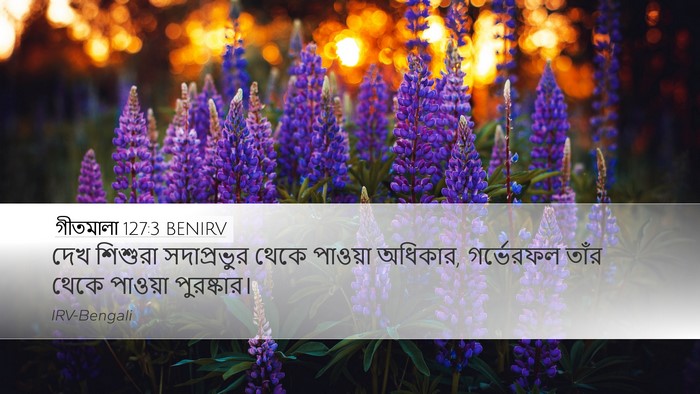 গীতমালা 127:3 BENIRV Bible Verse Image