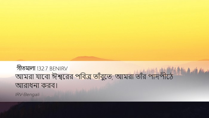 গীতমালা 132:7 BENIRV Desktop Wallpaper - আমরা যাবো ঈশ্বরের - Desktop Bible Verse Wallpaper