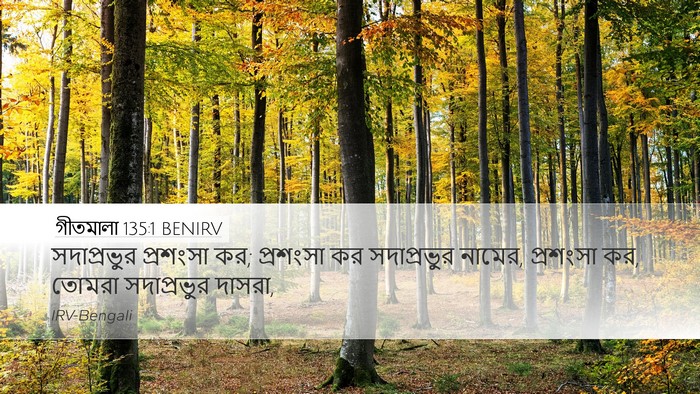 গীতমালা 135:1 BENIRV Bible Verse Image
