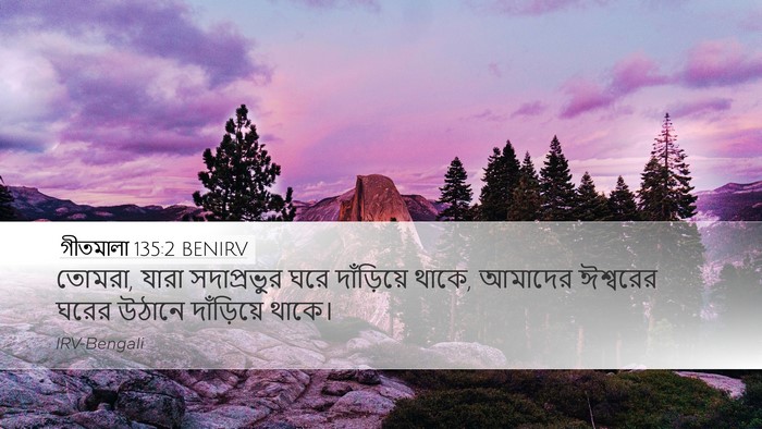 গীতমালা 135:2 BENIRV Desktop Wallpaper - তোমরা, যারা - Desktop Bible Verse Wallpaper