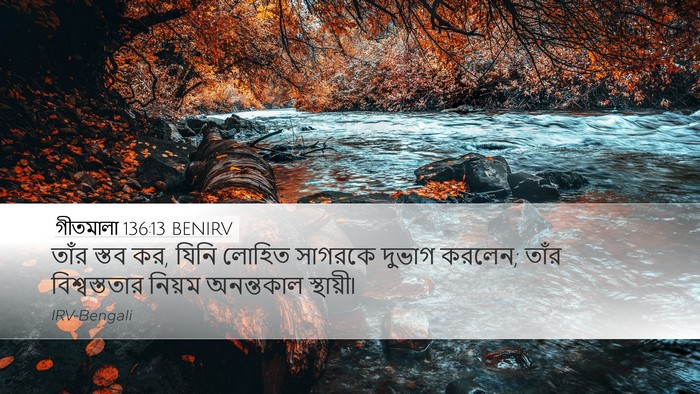 গীতমালা 136:13 BENIRV Bible Verse Image