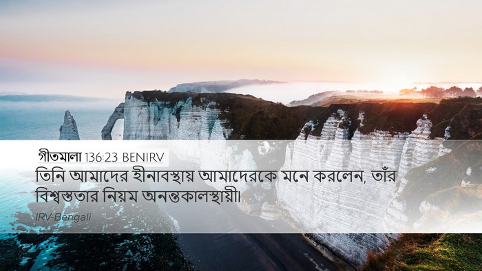 গীতমালা 136:23 BENIRV Bible Verse Image