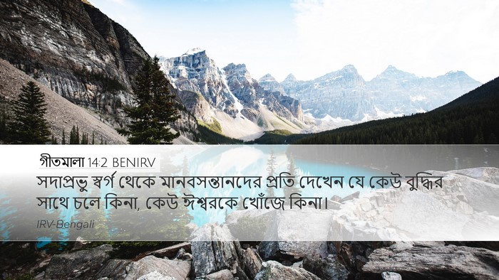 গীতমালা 14:2 BENIRV Desktop Wallpaper - সদাপ্রভুু স্বর্গ - Desktop Bible Verse Wallpaper
