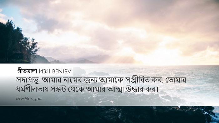 গীতমালা 143:11 BENIRV Desktop Wallpaper - সদাপ্রভুু, আমার - Desktop Bible Verse Wallpaper