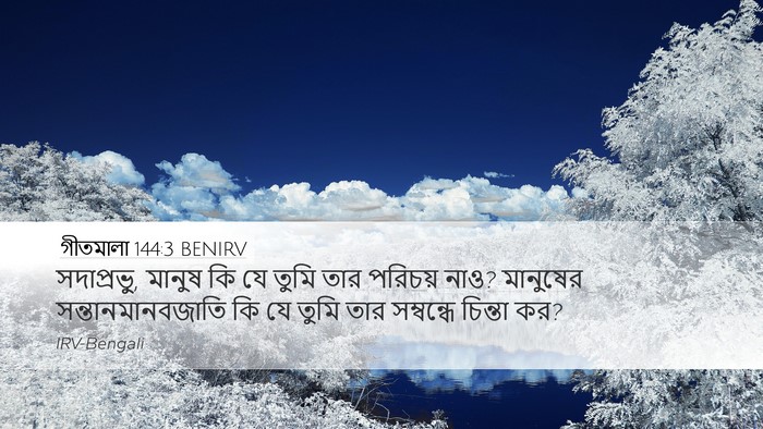 গীতমালা 144:3 BENIRV Bible Verse Image