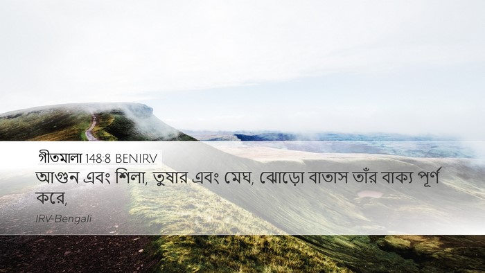 গীতমালা 148:8 BENIRV Bible Verse Image