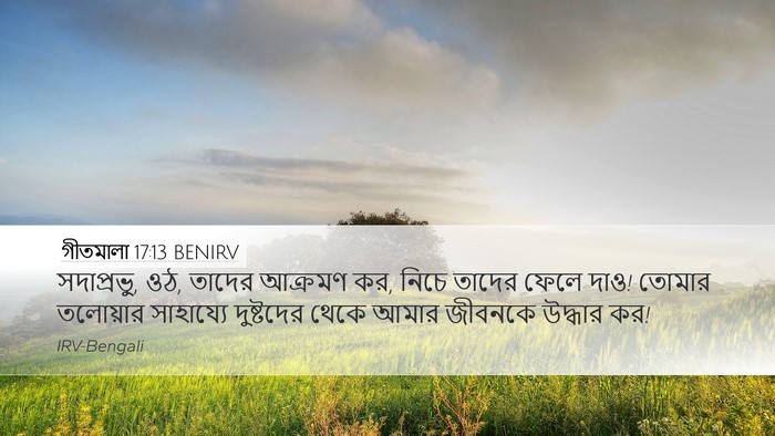 গীতমালা 17:13 BENIRV Bible Verse Image