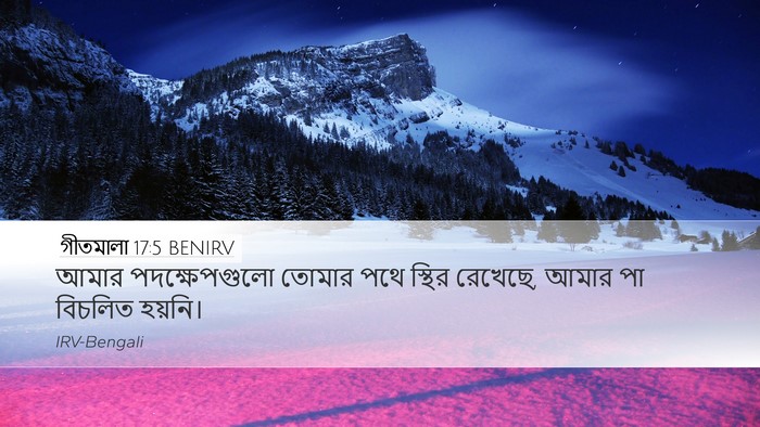 গীতমালা 17:5 BENIRV Bible Verse Image
