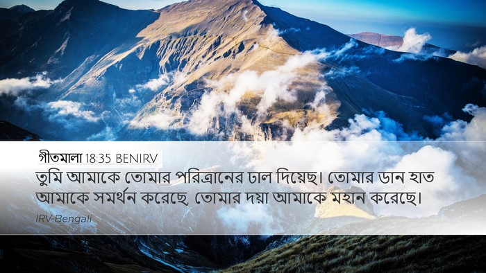 গীতমালা 18:35 BENIRV Bible Verse Image
