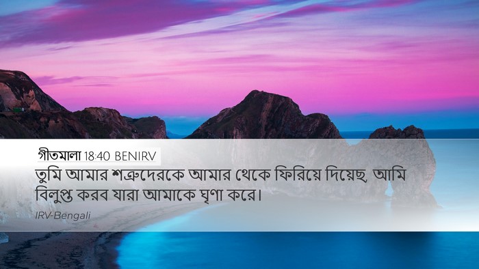 গীতমালা 18:40 BENIRV Bible Verse Image