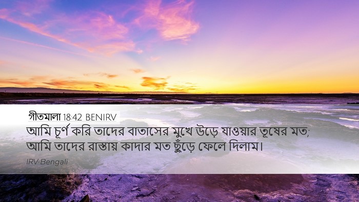 গীতমালা 18:42 BENIRV Bible Verse Image
