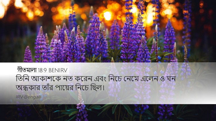 গীতমালা 18:9 BENIRV Desktop Wallpaper - তিনি আকাশকে নত - Desktop Bible Verse Wallpaper
