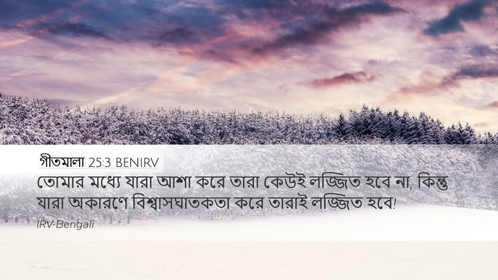 গীতমালা 25:3 BENIRV Bible Verse Image