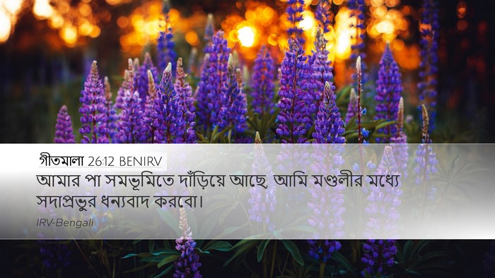 গীতমালা 26:12 BENIRV Desktop Wallpaper - আমার পা সমভূমিতে - Desktop Bible Verse Wallpaper