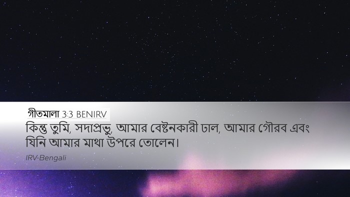 গীতমালা 3:3 BENIRV Bible Verse Image