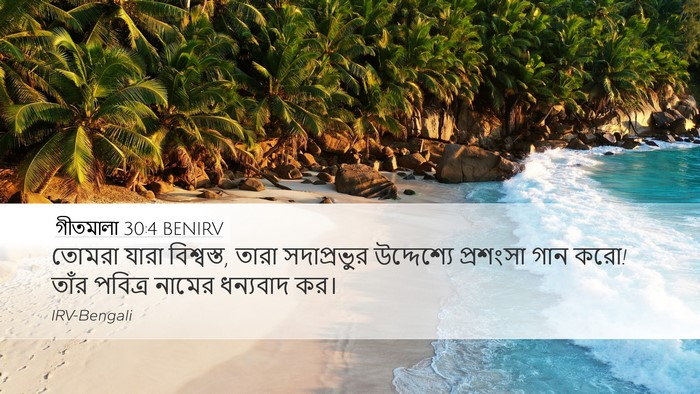 গীতমালা 30:4 BENIRV Desktop Wallpaper - তোমরা যারা - Desktop Bible Verse Wallpaper