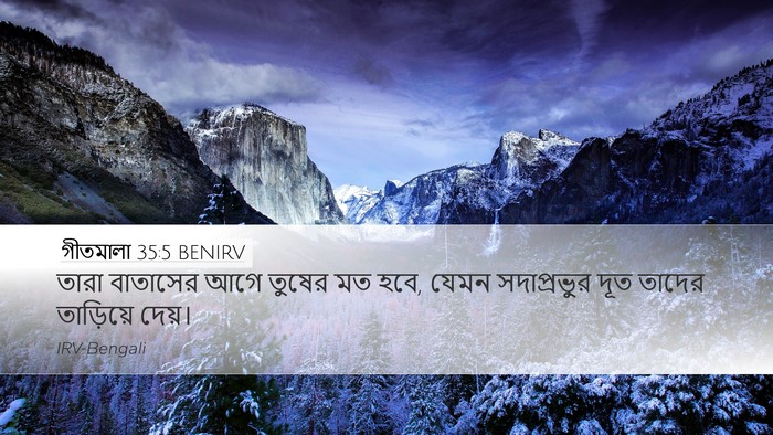 গীতমালা 35:5 BENIRV Bible Verse Image