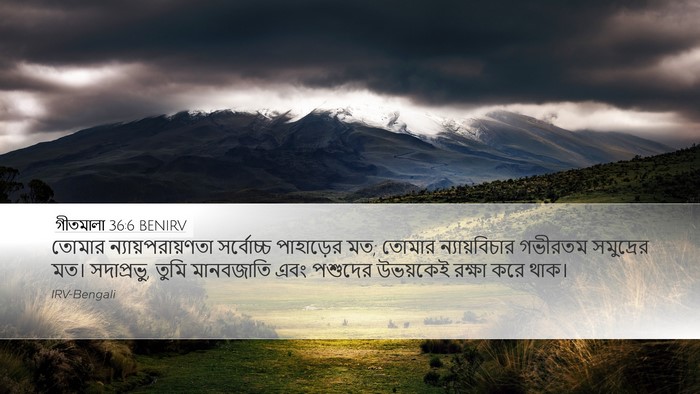 গীতমালা 36:6 BENIRV Bible Verse Image