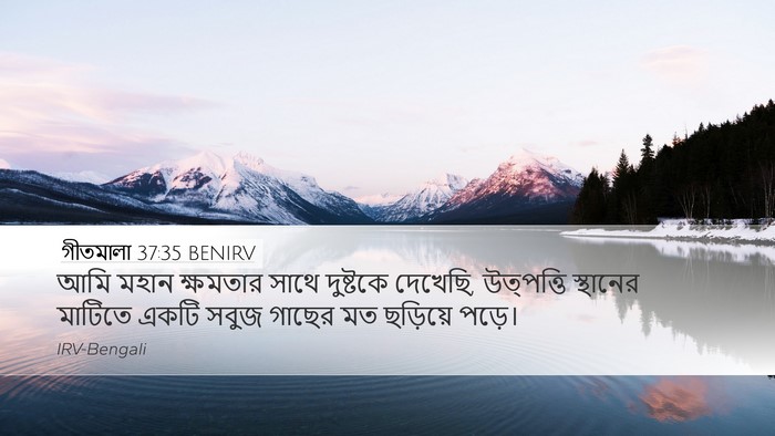 গীতমালা 37:35 BENIRV Bible Verse Image
