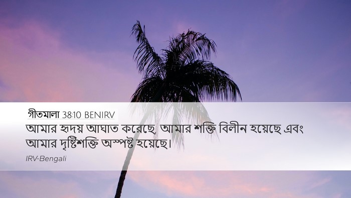 গীতমালা 38:10 BENIRV Bible Verse Image