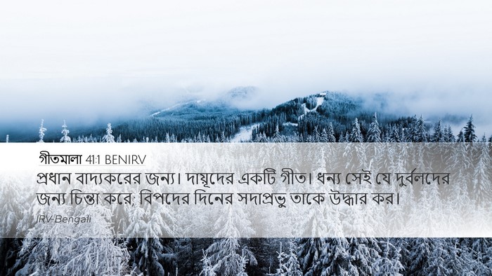 গীতমালা 41:1 BENIRV Bible Verse Image
