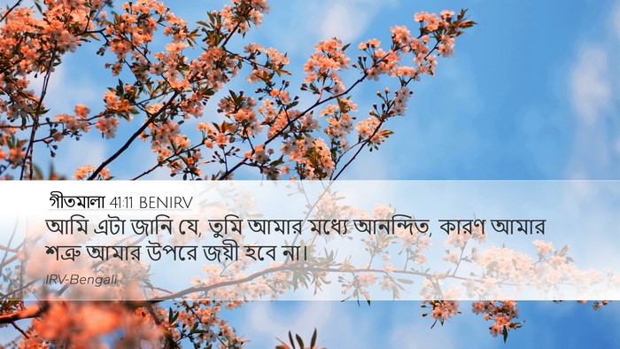 গীতমালা 41:11 BENIRV Desktop Wallpaper - আমি এটা জানি যে, - Desktop Bible Verse Wallpaper