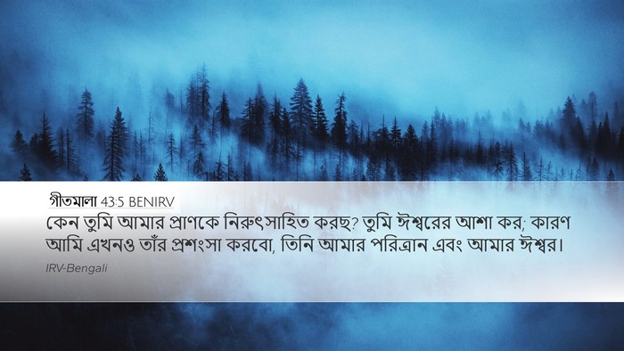 গীতমালা 43:5 BENIRV Bible Verse Image