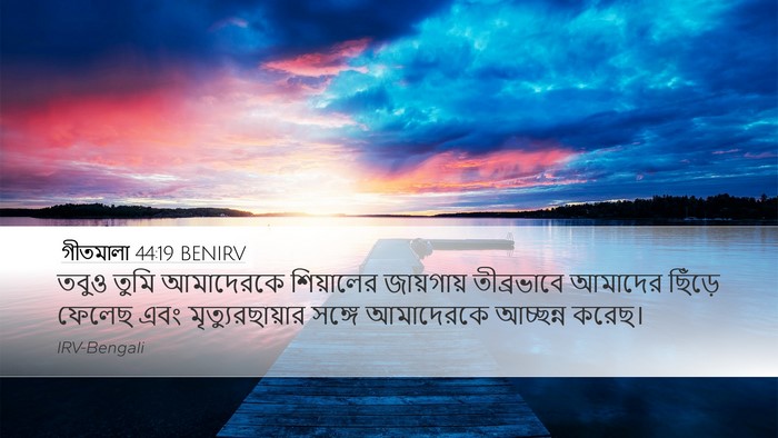 গীতমালা 44:19 BENIRV Bible Verse Image