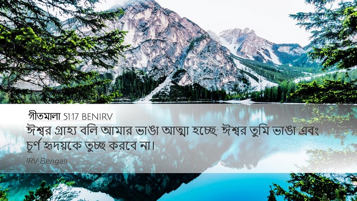 গীতমালা 51:17 BENIRV Bible Verse Image