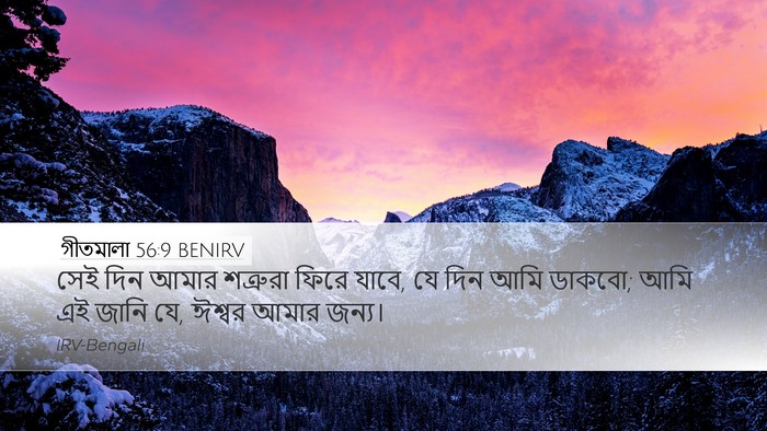 গীতমালা 56:9 BENIRV Bible Verse Image