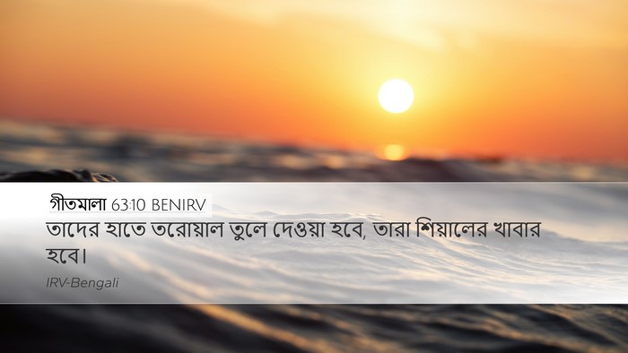 গীতমালা 63:10 BENIRV Desktop Wallpaper - তাদের হাতে - Desktop Bible Verse Wallpaper