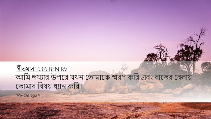 গীতমালা 63:6 BENIRV Bible Verse Image