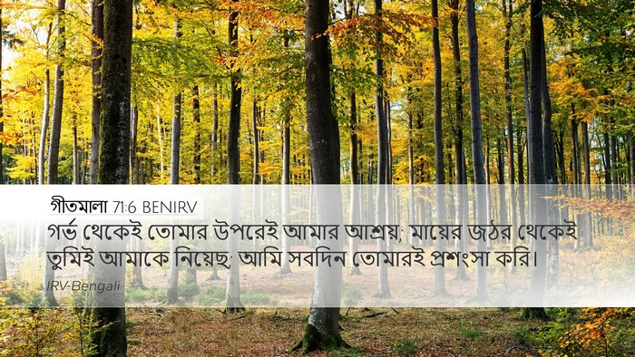 গীতমালা 71:6 BENIRV Bible Verse Image