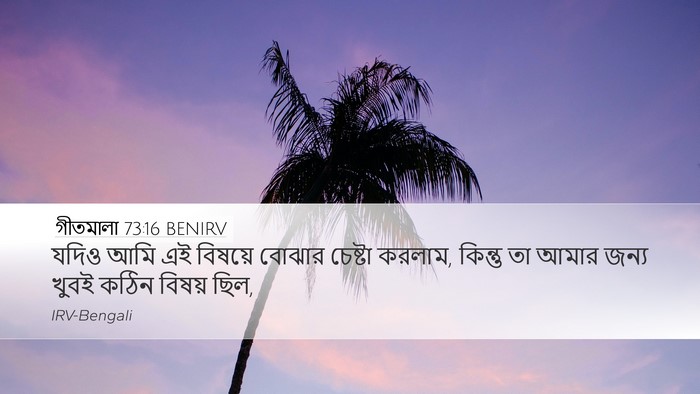গীতমালা 73:16 BENIRV Desktop Wallpaper - যদিও আমি এই বিষয়ে - Desktop Bible Verse Wallpaper