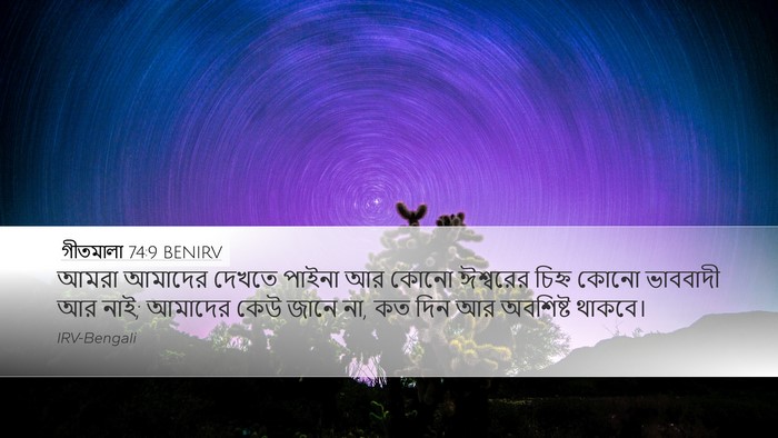 গীতমালা 74:9 BENIRV Desktop Wallpaper - আমরা আমাদের দেখতে - Desktop Bible Verse Wallpaper