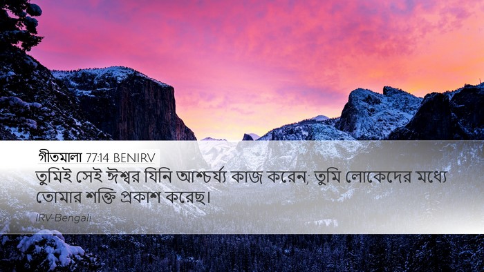 গীতমালা 77:14 BENIRV Bible Verse Image