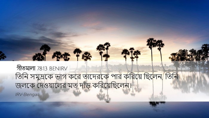 গীতমালা 78:13 BENIRV Bible Verse Image