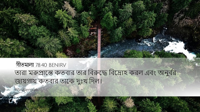 গীতমালা 78:40 BENIRV Bible Verse Image