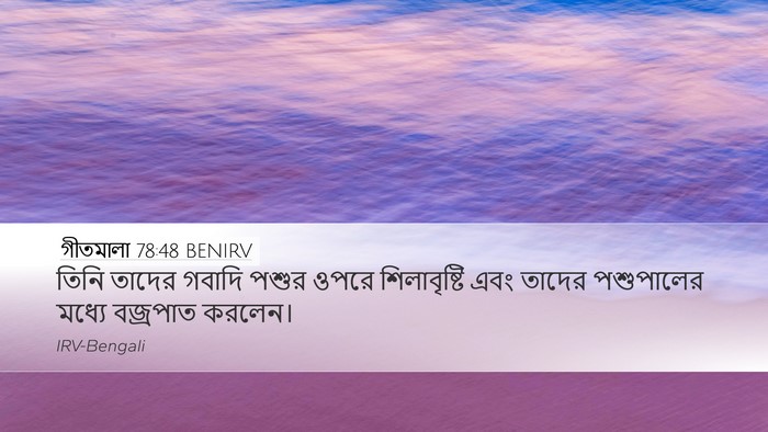 গীতমালা 78:48 BENIRV Desktop Wallpaper - তিনি তাদের গবাদি - Desktop Bible Verse Wallpaper