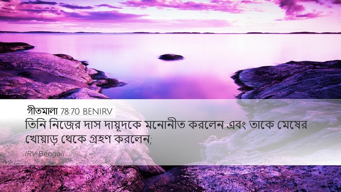 গীতমালা 78:70 BENIRV Bible Verse Image