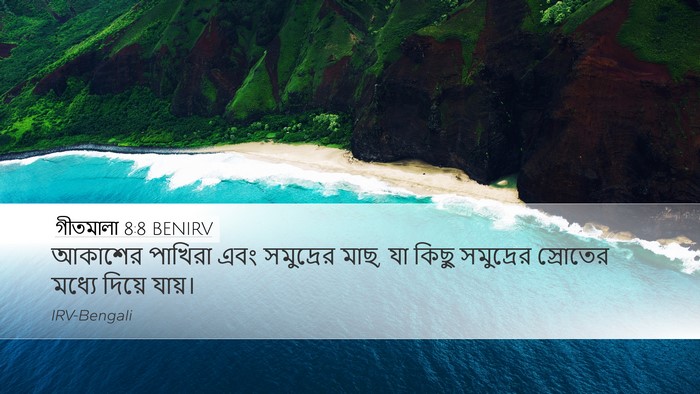 গীতমালা 8:8 BENIRV Bible Verse Image