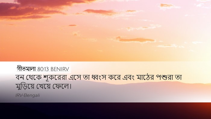 গীতমালা 80:13 BENIRV Desktop Wallpaper - বন থেকে শূকরেরা - Desktop Bible Verse Wallpaper