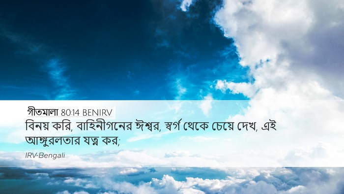 গীতমালা 80:14 BENIRV Bible Verse Image