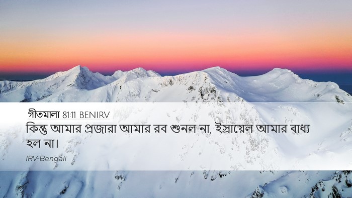 গীতমালা 81:11 BENIRV Desktop Wallpaper - কিন্তু আমার - Desktop Bible Verse Wallpaper