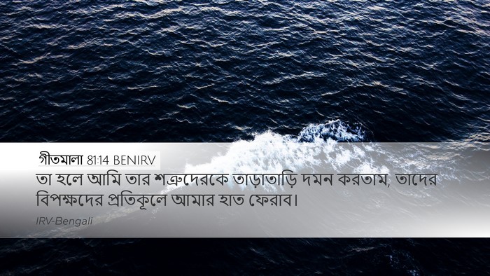 গীতমালা 81:14 BENIRV Bible Verse Image