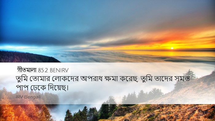 গীতমালা 85:2 BENIRV Desktop Wallpaper - তুমি তোমার লোকদের - Desktop Bible Verse Wallpaper